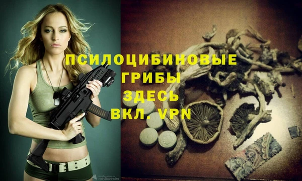 первитин Балахна