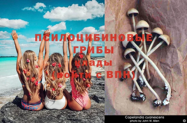 наркотики Арсеньев