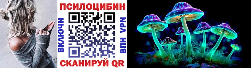 Псилоцибиновые грибы GOLDEN TEACHER  купить закладку  Свирск 